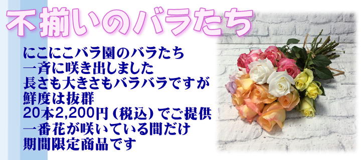 バラの花束 アレンジメントを贈るなら にこにこバラ園 がおすすめ オーダーメイドからプチギフトまで販売中